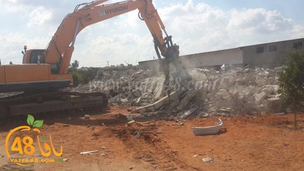 rokam dahmashs (2).jpg